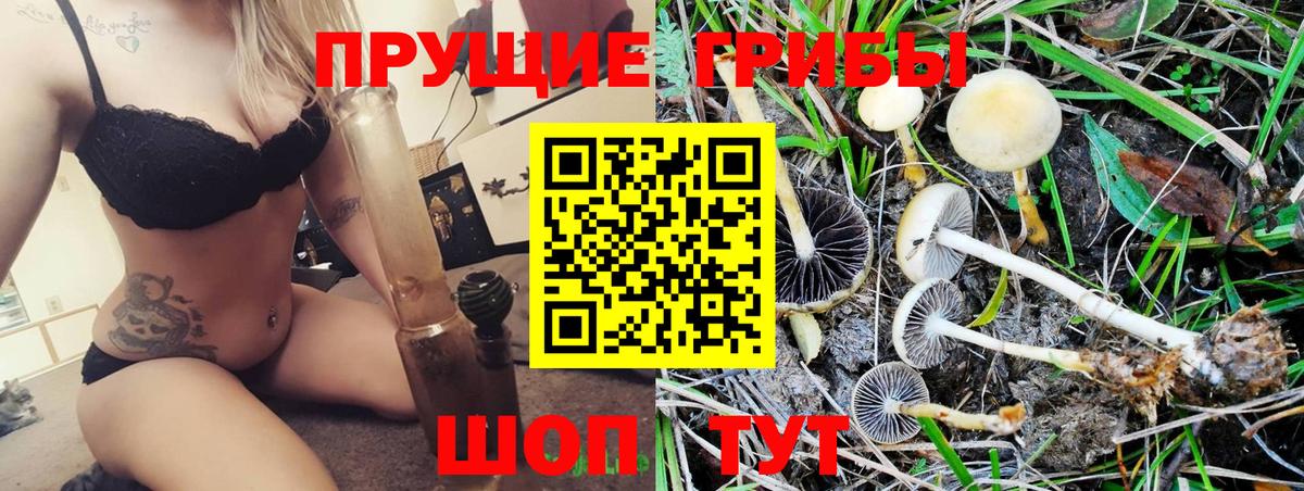как найти наркотики  Вход с VPN  Чехов  Галлюциногенные грибы GOLDEN TEACHER 