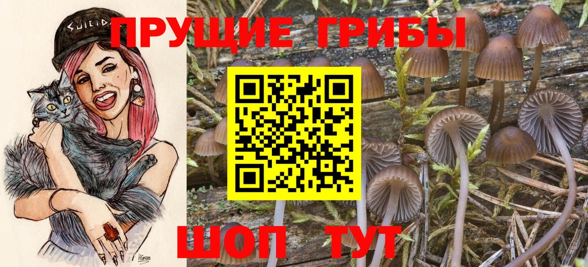 Псилоцибиновые грибы прущие грибы Чехов